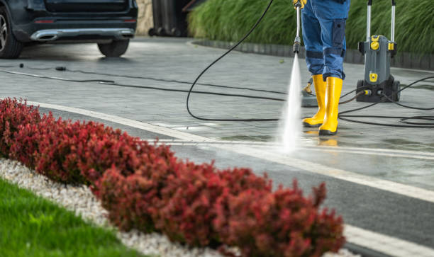 Best Solar Panel Cleaning  in March Ar, CA